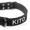 dog collar detail with name